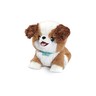 
      Paw the Puppy Patient
     - view 1